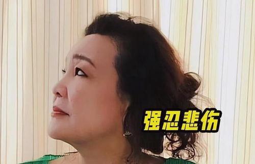 孟贺最新爆料新闻视频,揭秘事件背后惊人真相  第3张